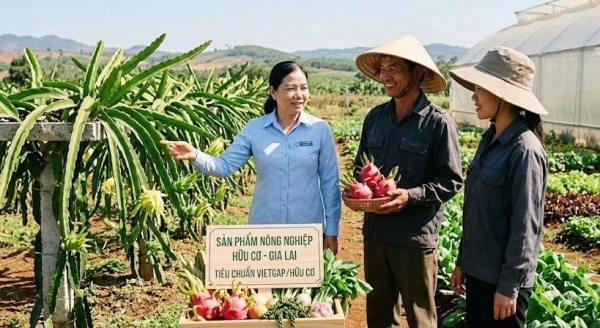 Gia Lai: Đề cử tôn vinh tập thể, cá nhân điển hình tiên tiến vì sự nghiệp phát triển nông nghiệp hữu cơ
