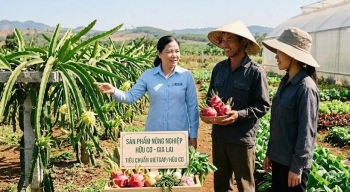 Gia Lai: Đề cử tôn vinh tập thể, cá nhân điển hình tiên tiến vì sự nghiệp phát triển nông nghiệp hữu cơ
