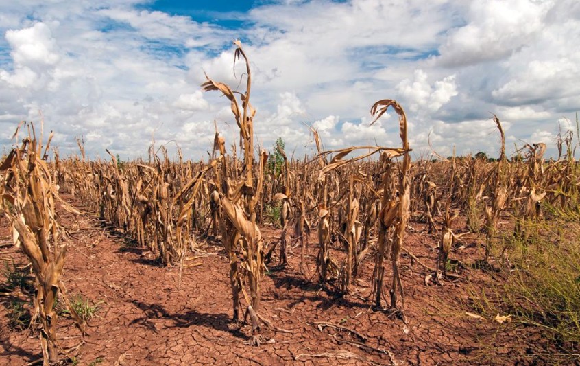 Siêu El Nino có thể gây thiệt hại tới 20 tỷ USD cho các quốc gia châu Phi