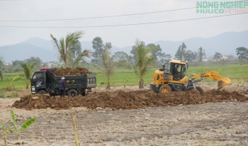 Vụ việc san lấp đất nông nghiệp ở xã Quảng Châu: Xác định diện tích, xử lý vi phạm theo quy định pháp luật