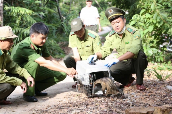 Tp. Huế: Hành động thiết thực góp phần bảo tồn đa dạng sinh học