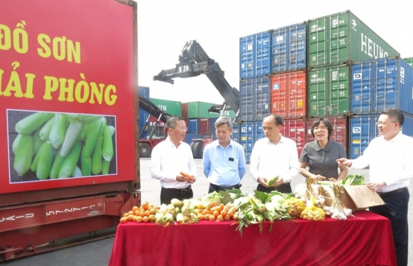 "Điểm tựa" vững chắc giúp hội viên vượt qua nỗi lo "được mùa rớt giá"
