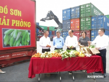 "Điểm tựa" vững chắc giúp hội viên vượt qua nỗi lo "được mùa rớt giá"