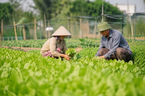 Đồng Nai triển khai bình chọn điển hình tiên tiến phát triển nông nghiệp hữu cơ