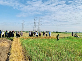 Phường Đào Viên (Bắc Ninh): Tập trung rà soát tôn vinh các điển hình nông nghiệp hữu cơ năm 2026