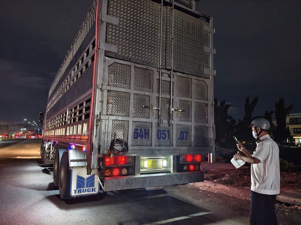 TP.HCM phát hiện 280 con heo dương tính chất cấm, tiêu hủy hơn 35 tấn
