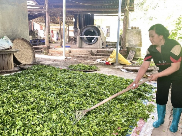 Nữ Bí thư chi bộ, Trưởng xóm năng động làm giàu trên chính quê hương