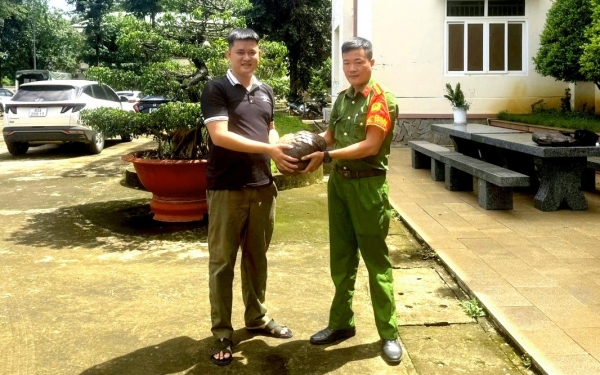 Đồng Nai: Người dân giao nộp cá thể tê tê quý hiếm sau khi phát hiện bên đường