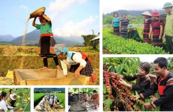 Lâm Đồng yêu cầu đẩy nhanh giải ngân các Chương trình mục tiêu quốc gia