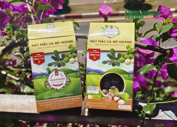 Bảo vệ thương hiệu Mắc ca Tuy Đức trước nạn hàng giả, hàng nhái