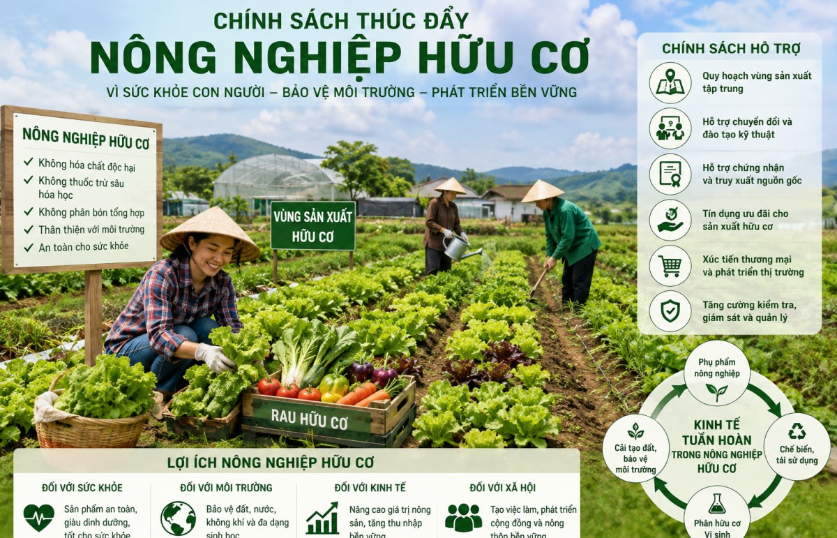 thiet ke chinh sach trong phat trien nong nghiep huu co