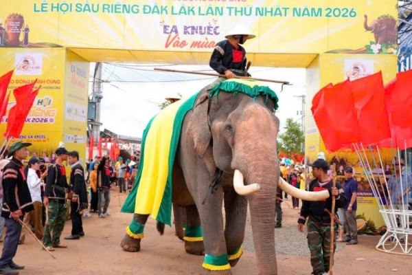 ea knuec lan toa gia tri le hoi sau rieng dak lak ket noi van hoa va thuong mai