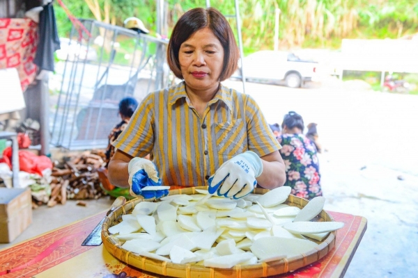 Củ mài - Lương thực ngày giáp hạt đến sản phẩm OCOP tiềm năng