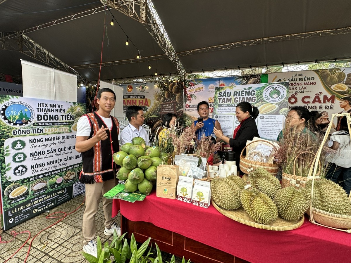 Xã Krông Năng rộn ràng hòa nhịp cùng Lễ hội sầu riêng Đắk Lắk 2026 Xã Krông Năng rộn ràng hòa nhịp cùng Lễ hội sầu riêng Đắk Lắk 2026