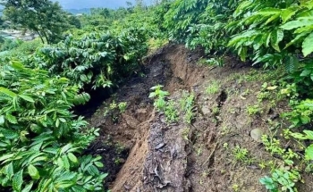 Lâm Đồng ghi nhận 47 nhà dân bị ảnh hưởng, hàng chục ha cây trồng ngập úng do mưa lũ