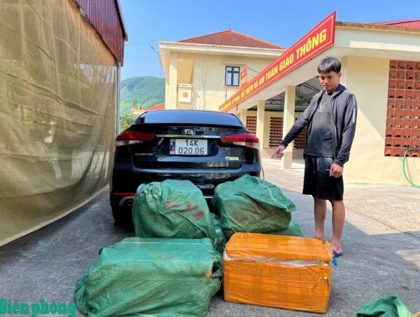 Quảng Ninh: Phát hiện gần 300kg nầm lợn đông lạnh không rõ nguồn gốc.