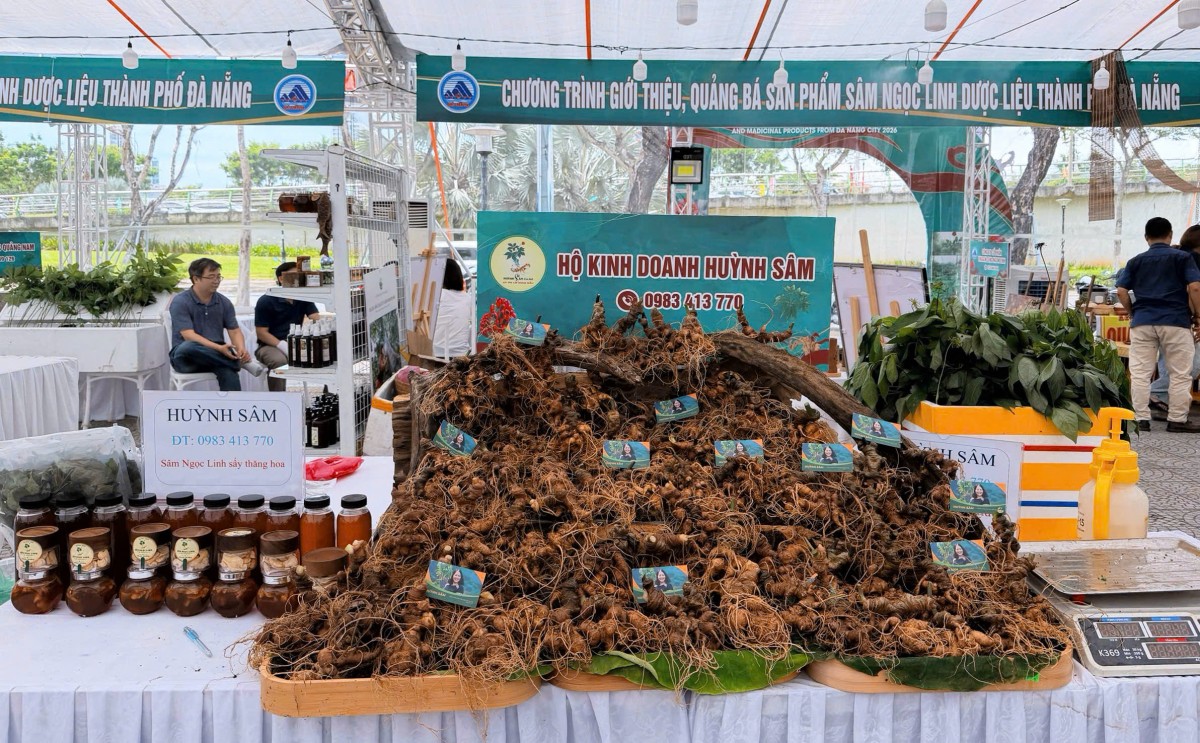 Huỳnh Sâm 'chắp cánh