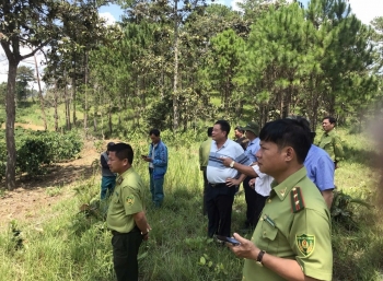 Lâm Đồng: Xã Quảng Tân kiểm tra, xác minh các trường hợp lấn chiếm đất đai tại một số Tiểu khu