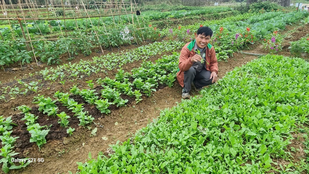 nhom rau huu co trai hoa tro lai pgs niem tin duoc khoi phuc tu su dong hanh