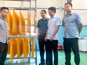 Tăng cường kết nối, hợp tác phát triển sản phẩm ngô bản địa tại Tuyên Quang