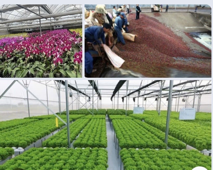 Vận động doanh nghiệp đồng hành phát triển lâu dài - cơ hội mới cho nông nghiệp hữu cơ