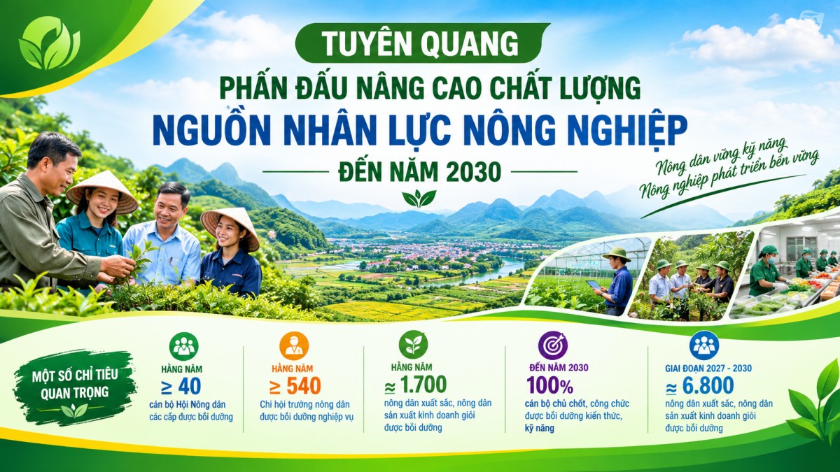 tuyen quang nang cao chat luong nguon nhan luc nong nghiep den nam 2030