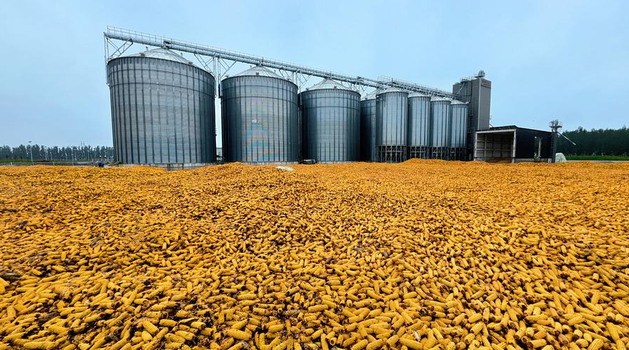 Kho dự trữ ngũ cốc giúp Trung Quốc giảm rủi ro từ El Niño
