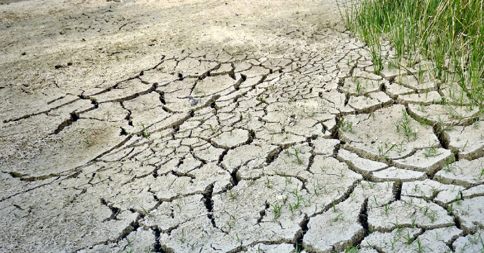 Kho dự trữ ngũ cốc giúp Trung Quốc giảm rủi ro từ El Niño
