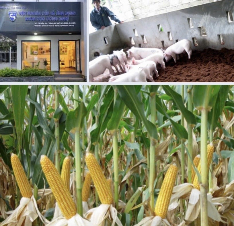 Phát triển công nghiệp sinh học ngành nông nghiệp theo hướng ứng dụng, hiệu quả và bền vững