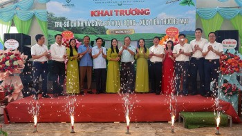 HTX Trà và Du lịch sinh thái Vạn Phú khai trương trụ sở, hướng tới phát triển chè hữu cơ gắn với du lịch sinh thái