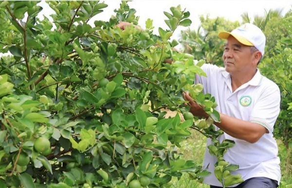Từ quả chanh đến chuỗi giá trị tuần hoàn