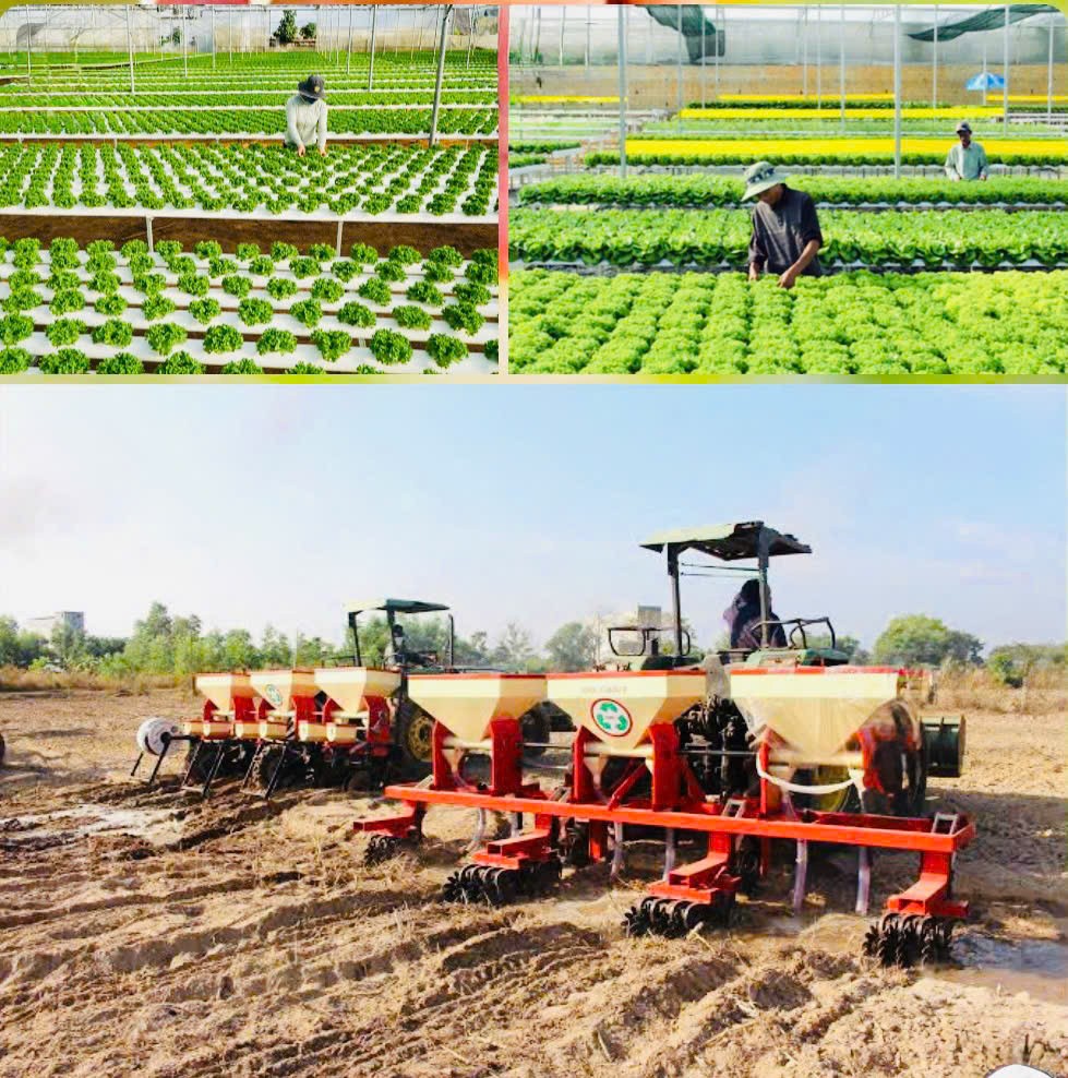 Đồng Nai bứt phá nông nghiệp nhờ chiến lược liên kết chuỗi giá trị