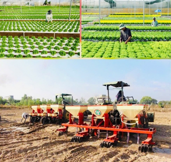 Đồng Nai bứt phá nông nghiệp nhờ chiến lược liên kết chuỗi giá trị