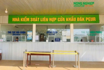 Nâng cấp cửa khẩu Đắk Peur thành cửa khẩu quốc tế