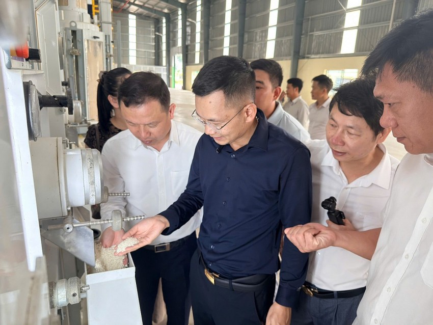 Khép kín từ thu gom bụi đến tận dụng phụ phẩm: Giảm hao hụt, nâng giá trị nông sản