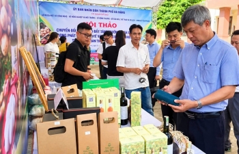 Số hóa kinh tế vườn, mở dư địa tăng trưởng mới cho Đà Nẵng