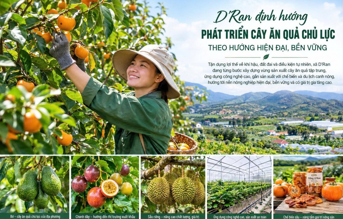 dinh huong phat trien cay an qua chu luc theo huong hien dai ben vung