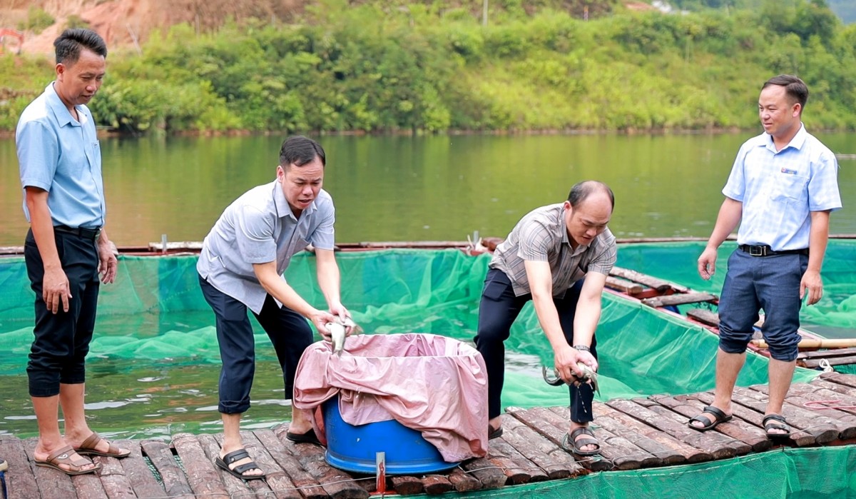 Tạo sinh kế, nâng chất lượng cuộc sống từ nguồn lực các Chương trình mục tiêu quốc gia