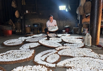 Tuyên Quang: Xã Trung Thịnh phát huy lợi thế, mở hướng phát triển kinh tế