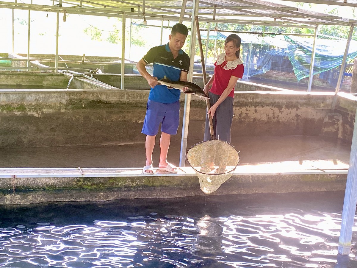 Hợp tác xã Trường Hà bứt phá với mô hình nông nghiệp thông minh