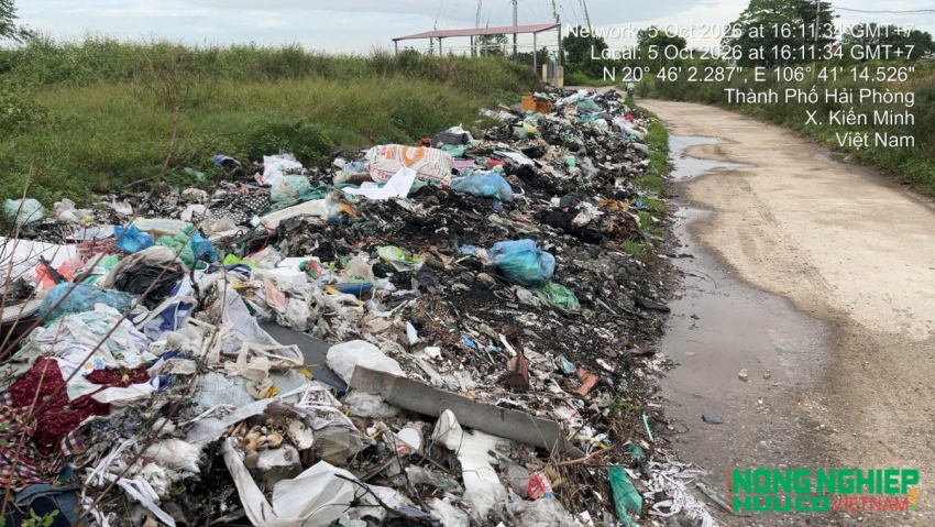 Hải Phòng: Rác liên tục cháy cạnh điểm tập kết ở Kiến Minh: Chỉ thị đã rõ, trách nhiệm thuộc về ai?