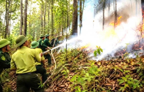 Đắk Lắk chủ động ứng phó El Niño, phòng hạn hán thiếu nước, cháy rừng mùa khô 2026-2027