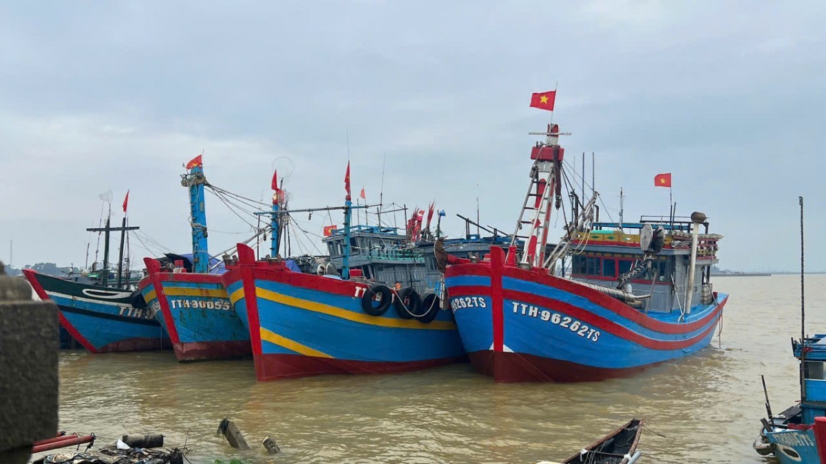 ngu dan hue trung dam ca bo thu tien ti sau hai chuyen di bien