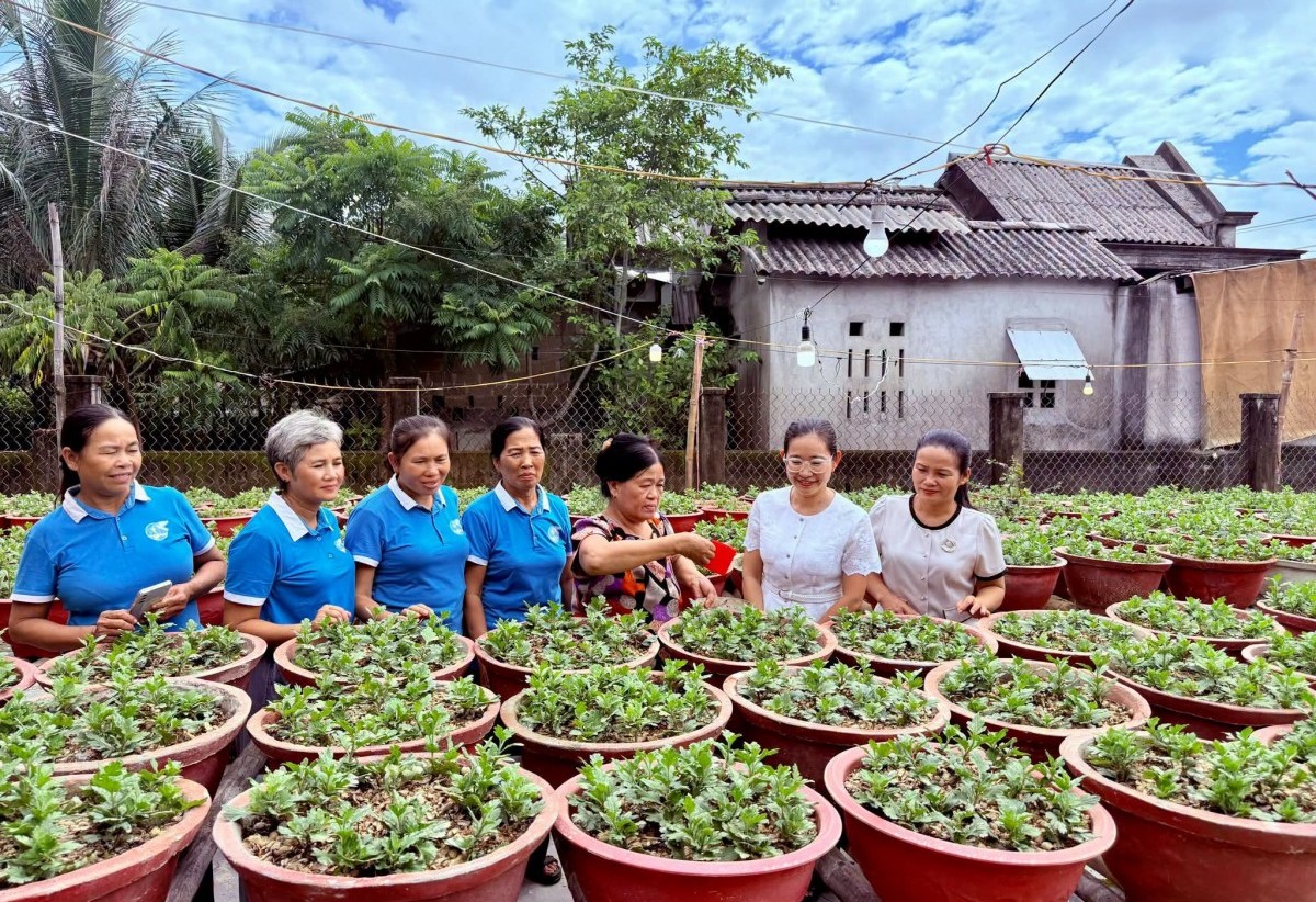 phu nu dan dien lan toa mo hinh xu ly rac huu co bang vi sinh imo