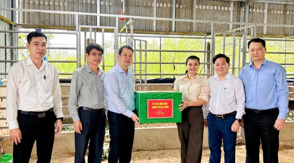 Nuôi hươu lấy nhung giúp người dân Phước Chánh tăng thu nhập
