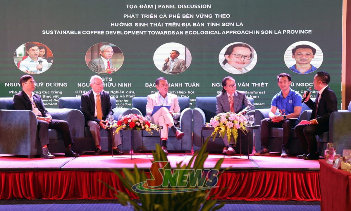 Cà phê Sơn La: Nâng tầm Arabica từ canh tác sinh thái