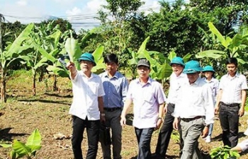 Khánh Hòa phấn đấu nâng thu nhập người lao động HTX lên 120 triệu đồng/năm vào năm 2030