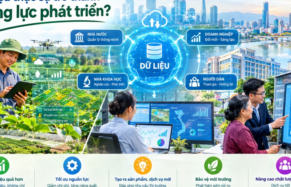 lam the nao de du lieu thuc su tro thanh dong luc phat trien