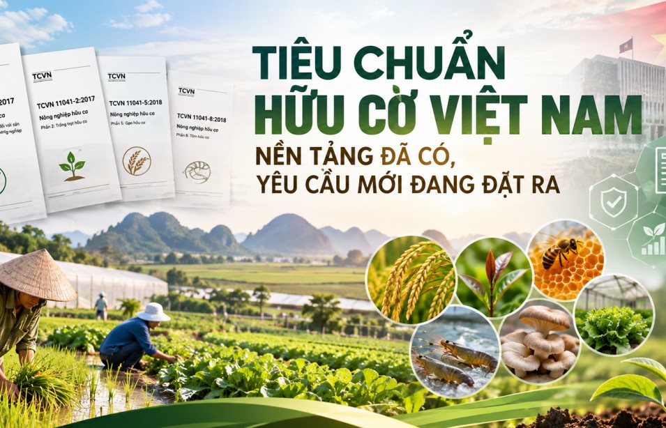 tieu chuan huu co viet nam bai 1 nen tang da co yeu cau moi dang dat ra