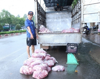 Đồng Nai: Triệt phá đường dây tiêu thụ 400 tấn heo bệnh, heo chết